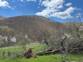 Продава ПАРЦЕЛ, с. Огоя, област София област, снимка 5