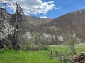 Продава ПАРЦЕЛ, с. Огоя, област София област, снимка 7