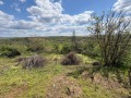 Продава КЪЩА, област Русе, с. Пиперково • 13800 € / 26990.45 лв. • 89831481 14