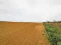 Продава ПАРЦЕЛ, град Русе, в.з. Русофили • 1500000 € • 78425147 — Holmes.bg