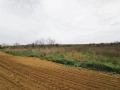 Продава ПАРЦЕЛ, град Русе, в.з. Русофили • 1500000 € • 78425147 — Holmes.bg