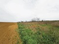 Продава ПАРЦЕЛ, град Русе, в.з. Русофили • 1500000 € • 78425147 — Holmes.bg