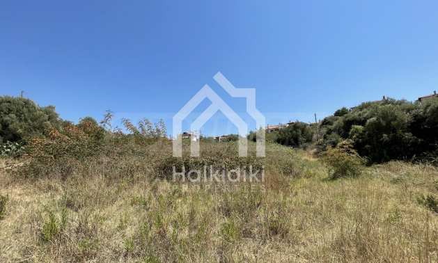 ������� ������ | Imot.bg � ����������� 12