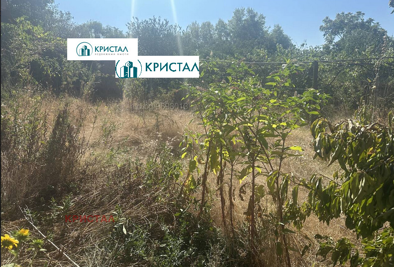 Продаја  Кућа регион Пловдив , Падарско , 70 м2 | 18220852 - слика [8]