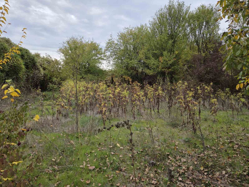 Продава КЪЩА, с. Александрово, област Ловеч, снимка 4 - Къщи - 52845886