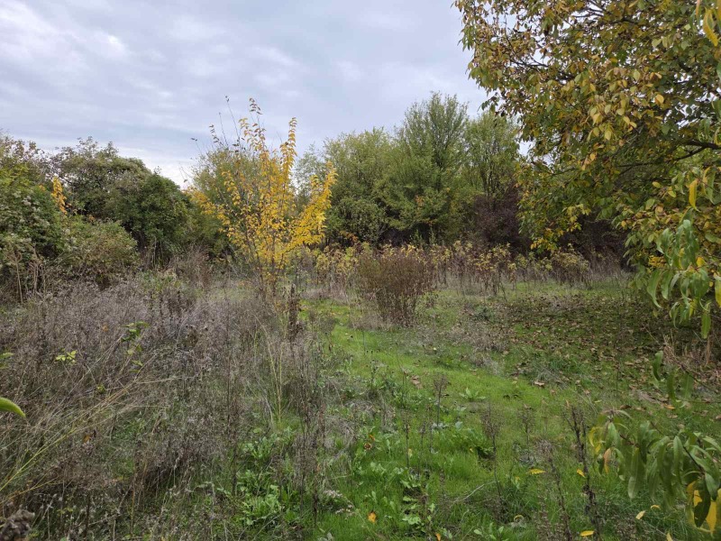 Продава КЪЩА, с. Александрово, област Ловеч, снимка 3 - Къщи - 52845886