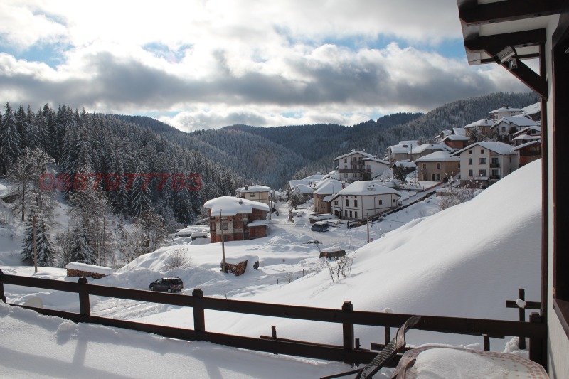 Продава ВИЛА, с. Проглед, област Смолян, снимка 3 - Вили - 52831913