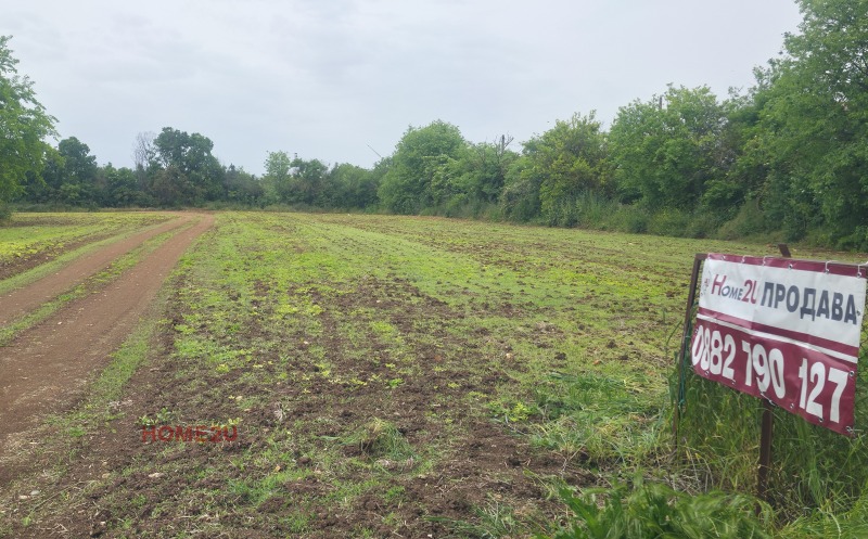 For Sale  Plot region Dobrich , Balgarevo , 1350 sq.m | 12855985