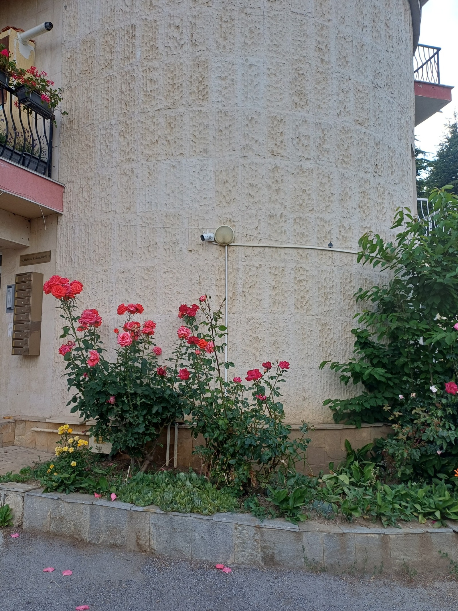 Продава 3-СТАЕН, гр. София, в.з.Киноцентъра, снимка 3 - Апартаменти - 55012783