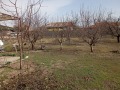 Продава ПАРЦЕЛ, с. Ивайло, област Пазарджик, снимка 5