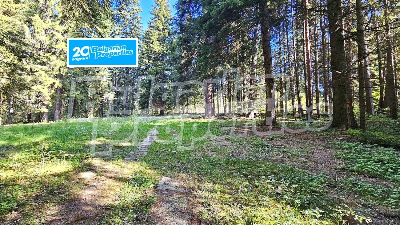 Продава ПАРЦЕЛ в област София, к.к. Боровец - 3427 кв.м / 1 062 370 € » 2 077 815.12 лв., БЪЛГЕРИАН ПРОПЕРТИС