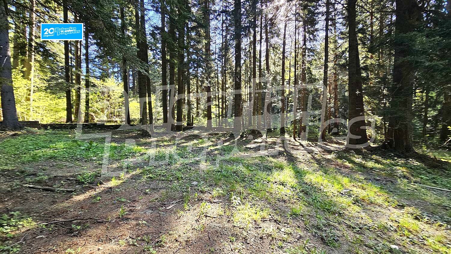 Продава ПАРЦЕЛ | Imot.bg — изображение 9