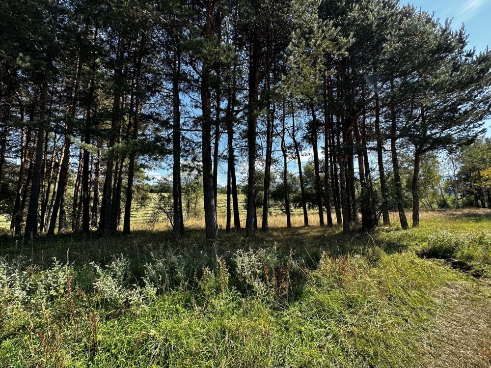 Продава ПАРЦЕЛ | Imot.bg — изображение 4