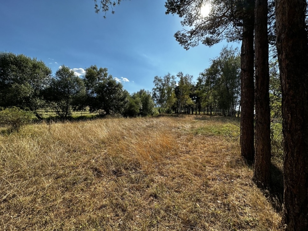 Продава ПАРЦЕЛ | Imot.bg — изображение 7