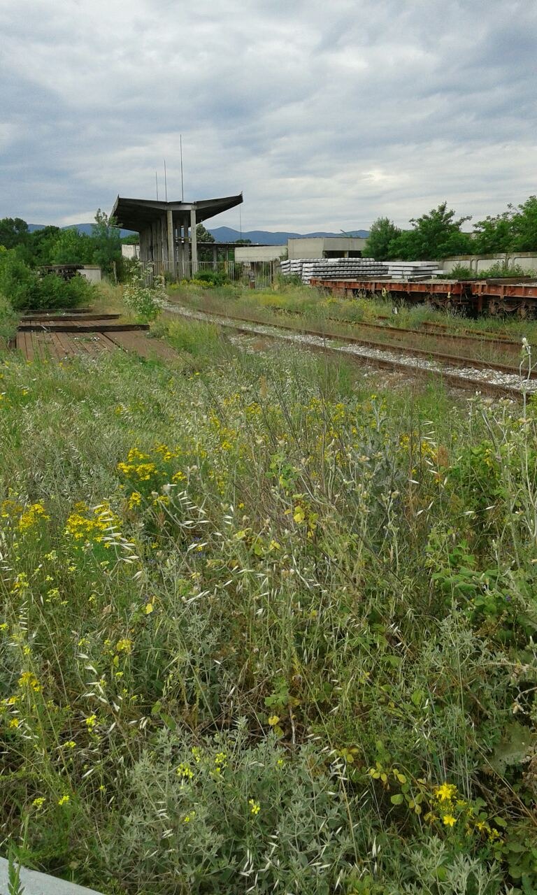Na sprzedaż  Działka region Chaskowo , Swilengrad , 7500 mkw | 19596265 - obraz [3]