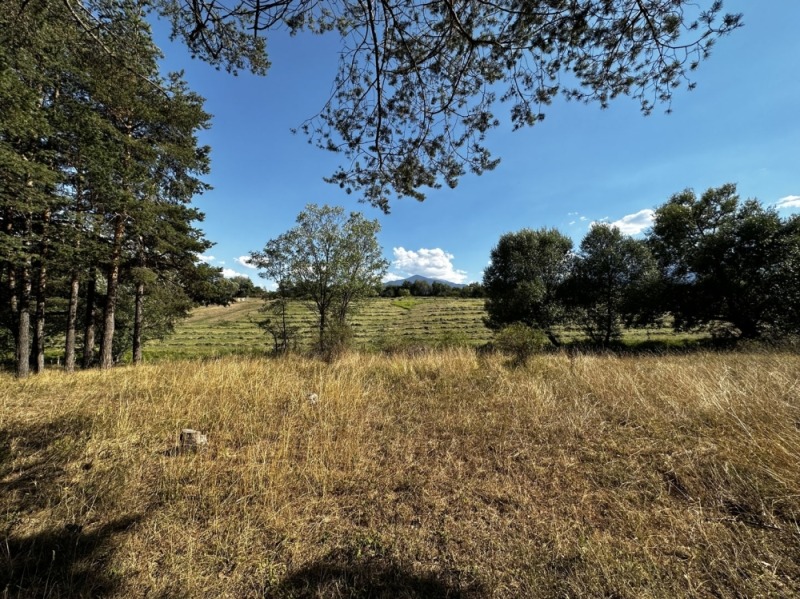 À venda  Trama região Blagoevgrad , Razlog , 1655 m² | 63995957 - imagem [5]
