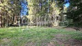 Продава ПАРЦЕЛ, к.к. Боровец, област София област, снимка 11