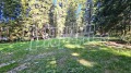 Продава ПАРЦЕЛ, к.к. Боровец, област София област, снимка 2