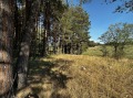 Продава ПАРЦЕЛ, област Благоевград, гр. Разлог • 91025 € / 178029.43 лв. • 60559701 6