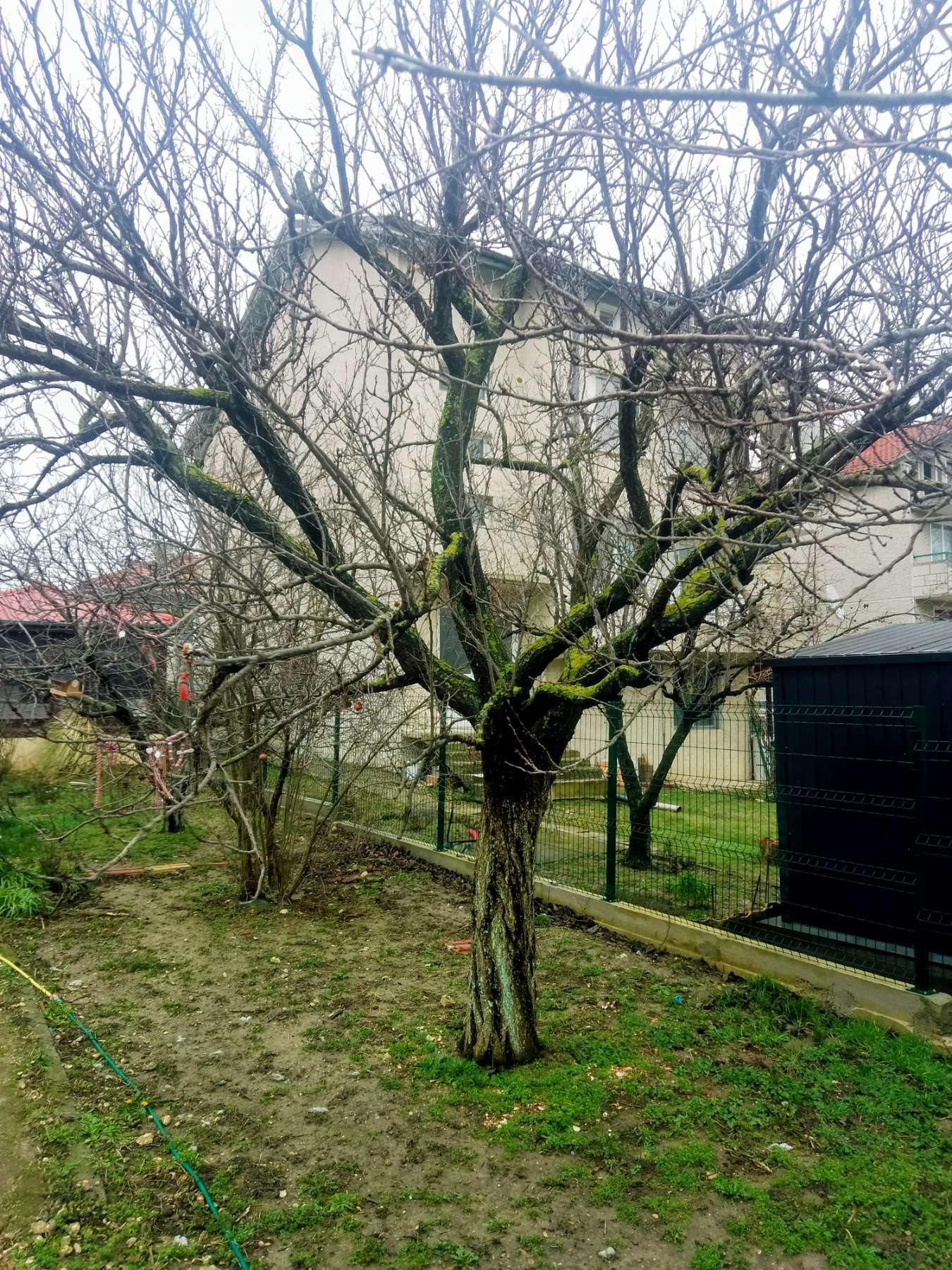 ������� ���� | Imot.bg � ����������� 16