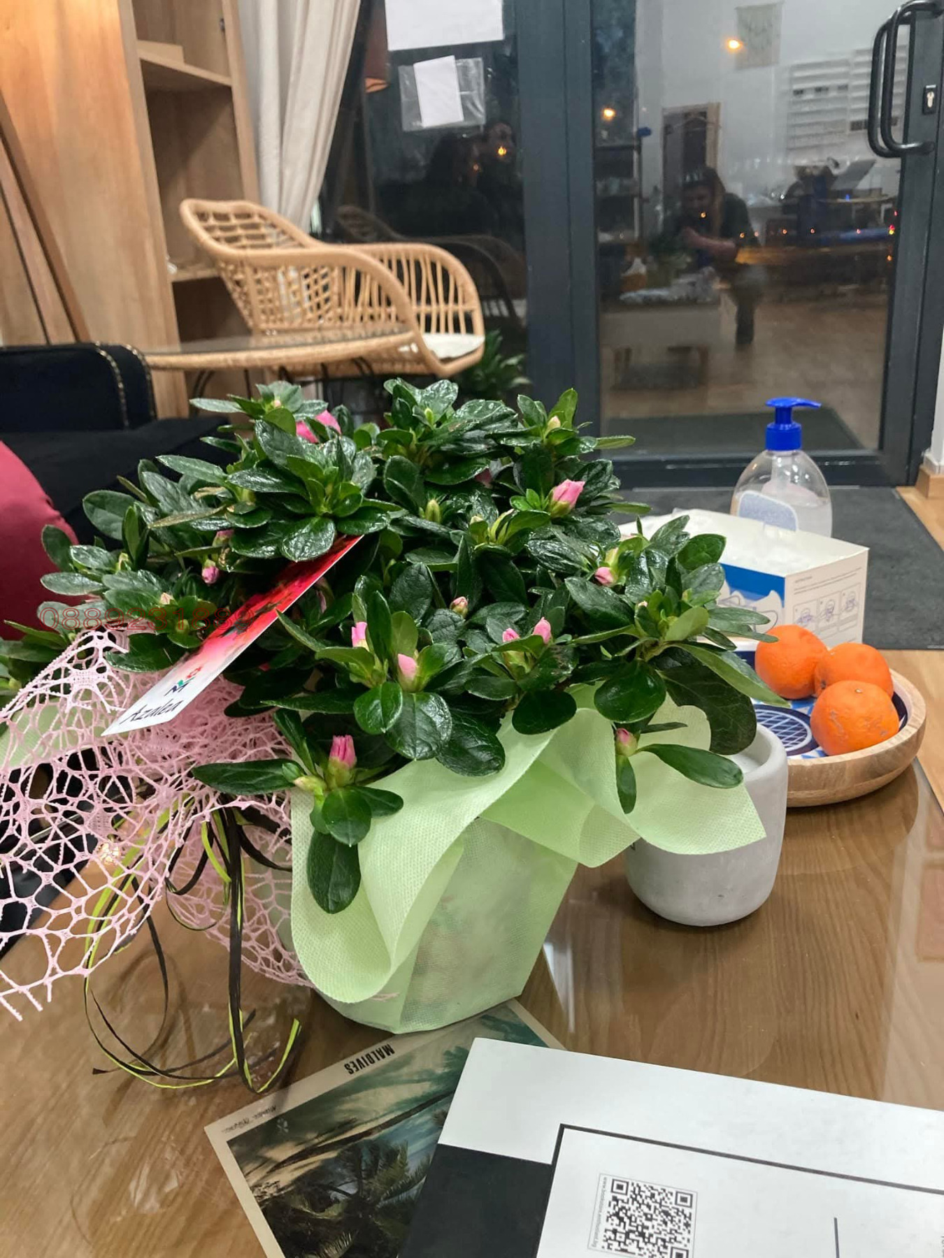 ������� ������� | Imot.bg � ����������� 6