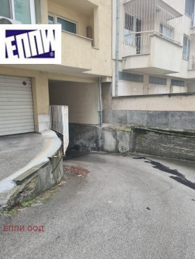 ����� ������� �����,���� �����, ���������