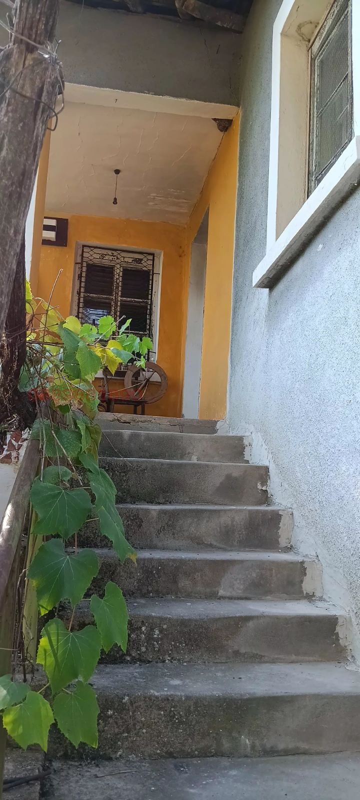 Продава КЪЩА, с. Баурене, област Враца