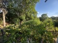 Продава КЪЩА, с. Баурене, област Враца, снимка 13