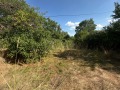 Продава КЪЩА, с. Баурене, област Враца, снимка 11
