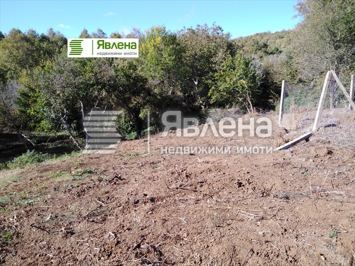 ������� ������ | Imot.bg � ����������� 1