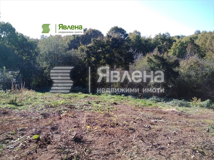 ������� ������ | Imot.bg � ����������� 11