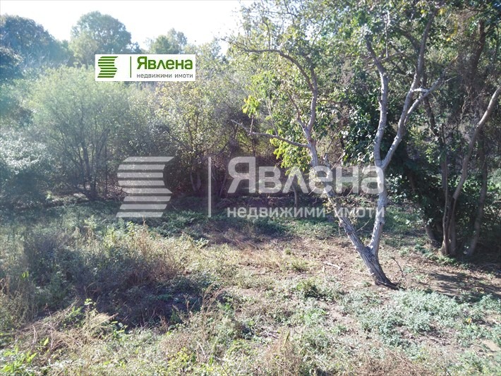 ������� ������ | Imot.bg � ����������� 7