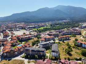 Studie Bansko, region Blagoevgrad 8
