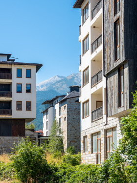 Studie Bansko, region Blagoevgrad 11