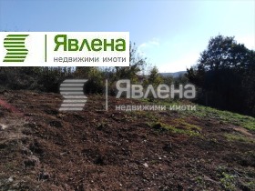 ������� ������ | Imot.bg � ����� ������ 10