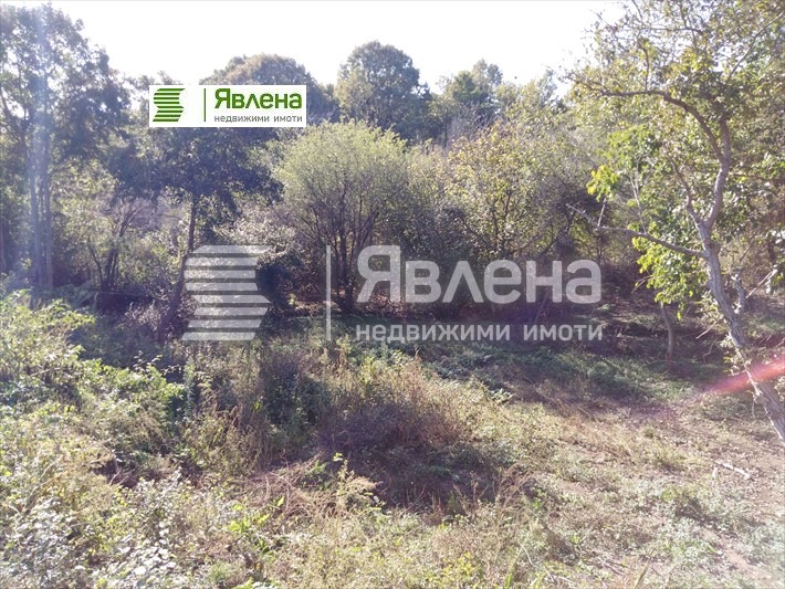 Продава ПАРЦЕЛ, с. Изгрев, област Бургас, снимка 8 - Парцели - 51884313