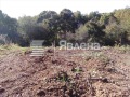 Продава ПАРЦЕЛ, с. Изгрев, област Бургас, снимка 2