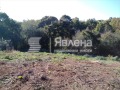 Продава  Парцел област Бургас , с. Изгрев , 1480 кв.м | 45821124 - изображение [11]