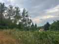 Продава ПАРЦЕЛ, град София, с. Панчарево • 260000 € • 27094283 — Holmes.bg