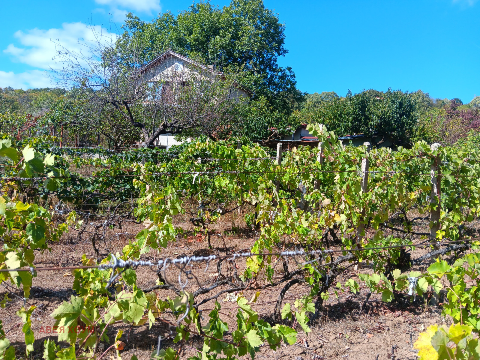 Продава КЪЩА | Imot.bg — изображение 6