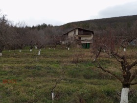 ����� ������� ����,�. ����, ������ ���������