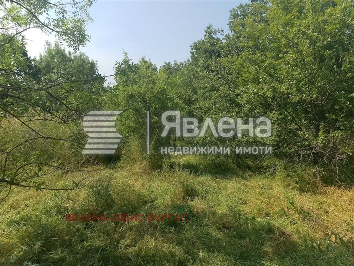 Продава  Парцел област Бургас , с. Фазаново , 616 кв.м | 53101370