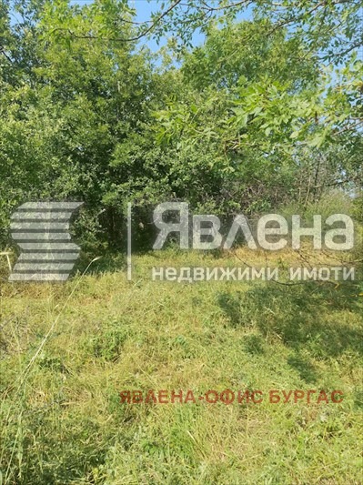 Продава  Парцел област Бургас , с. Фазаново , 616 кв.м | 53101370 - изображение [3]