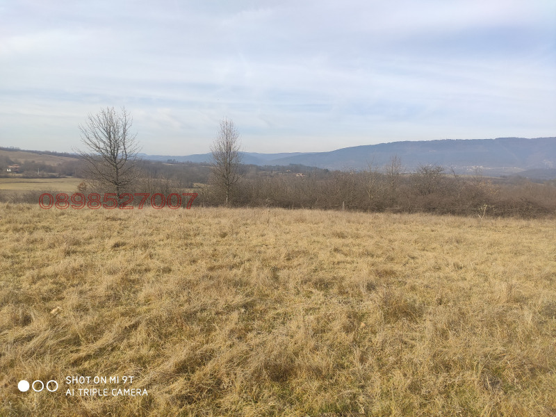 Продава ЗЕМЕДЕЛСКА ЗЕМЯ, гр. Елена, област Велико Търново, снимка 3 - Земеделска земя - 52881201