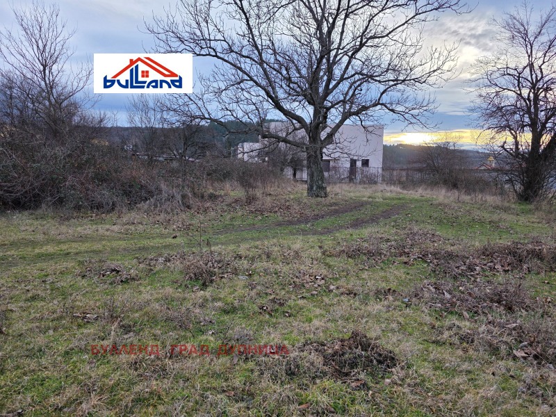 Продава ЗЕМЕДЕЛСКА ЗЕМЯ, с. Самораново, област Кюстендил, снимка 7 - Земеделска земя - 53269483