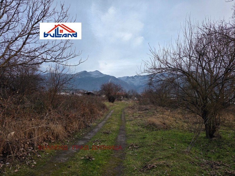 Продава ЗЕМЕДЕЛСКА ЗЕМЯ, с. Самораново, област Кюстендил, снимка 4 - Земеделска земя - 53269483