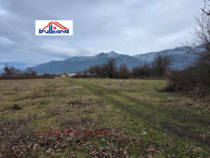 Продава ЗЕМЕДЕЛСКА ЗЕМЯ, с. Самораново, област Кюстендил, снимка 5 - Земеделска земя - 53269483