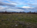 Продава ЗЕМЕДЕЛСКА ЗЕМЯ, с. Самораново, област Кюстендил, снимка 3