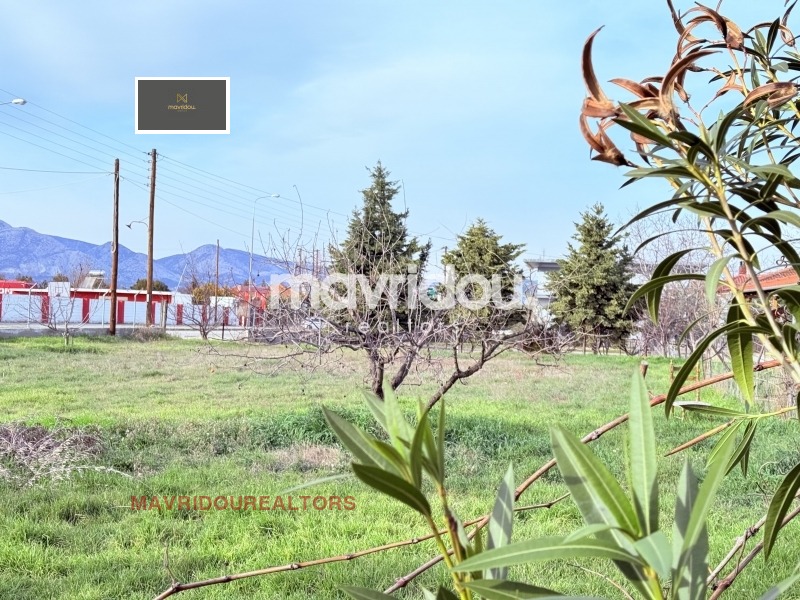 ������� ������ | Imot.bg � ����������� 2