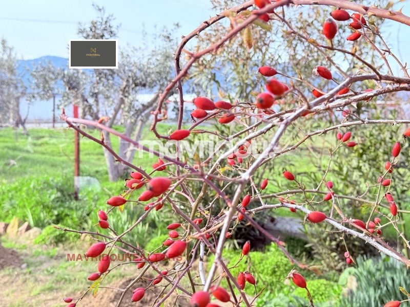 ������� ������ | Imot.bg � ����������� 3